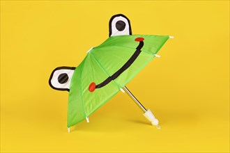 Cute green doll rain umbrella with frog face on yellow background