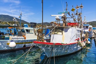 Fishing boats anchor in the harbour of Marina di Campo