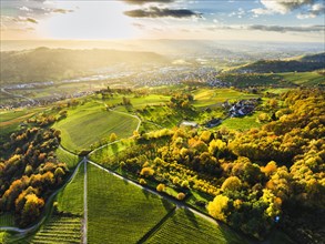 Drone view of forest and rural landscape in autumn