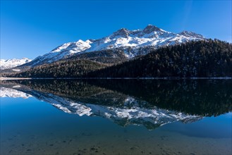 Reflection of Piz Rosatsch in Lake Champferer in the Engadine
