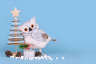 Seasonal Christmas decoration with snowy owl