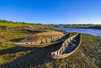 Wooden canoes on the Manakara river on the east coast of Madagascar