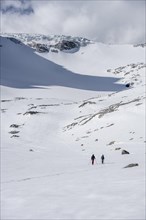 Ski tourers in winter in the mountains