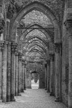 Side aisle of the ruined church of San Galgano Abbey