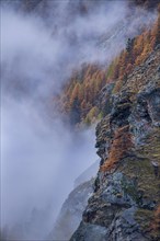 Misty atmosphere in the autumnal mountain forest