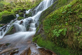 Fresh and beautiful waterfalls in a mountain stream in spring. La Serva