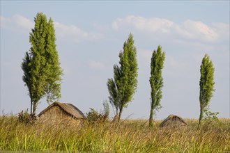 Huts of the inhabitants in the reeds