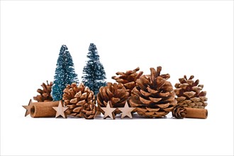 Christmas arrangement with seasonal pine cones