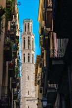 Basilica of Santa Maria del Mar in Barcelona