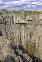 Unesco world heritage sight Tsingy de Bemaraha Strict Nature Reserve