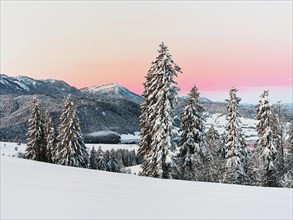 Snow-covered forest with view of Lake Aegeri behind Rigi