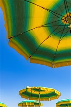Green-yellow parasols against a blue sky on the beach of Straccoligno