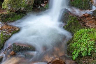 Fresh and beautiful waterfalls in a mountain stream in spring. La Serva