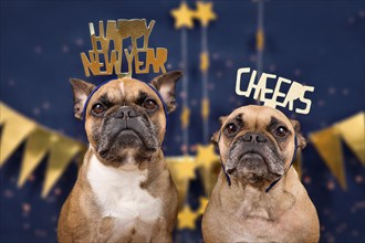 French Bulldog dogs wearing golden New Years Eve party celebration headbands with words Happy new year and cheers in front of blue background with golden garlands