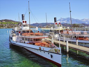 Steamship fleet from Lake Lucerne in the shipyard of Lucerne