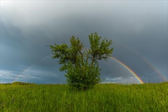 Appearance of a double rainbow in front of a late afternoon storm. Alsace