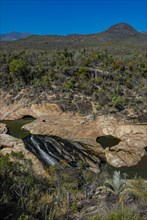 A view over the transitional forest of Andohahela National Park