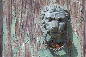 Lion's head as a door knocker