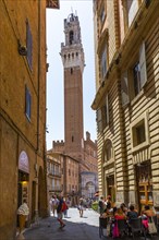 View of the tower of the Palazzo Pubblico