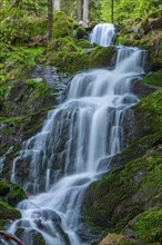 Fresh and beautiful waterfalls in a mountain stream in spring. La Serva