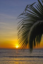 Sunset on the Coastline of the Island Ile Sainte Marie