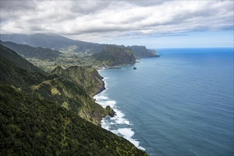 View of steep forested coast and sea