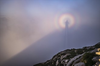 Shadow cast by the photographer in the fog