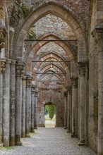 Aisle of the ruined church of the Abbey of San Galgano