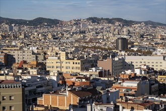 Aerial view from Montjuic of the city of Barcelona in Catalonia Spain