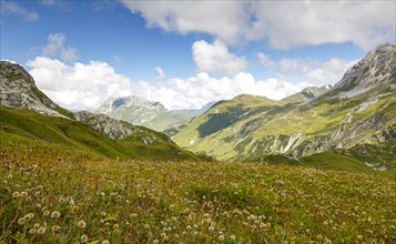 View across a mountain meadow to the Alps near Lech am Arlberg