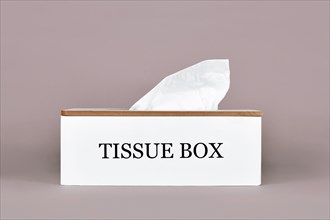 Wooden tissue box on gray background