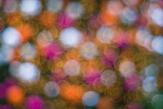 Christmas abstract blurred background. Multi-colored lights. Unfocused image. Christmas tree garland in a blur