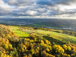 Drone view of forest and rural landscape in autumn