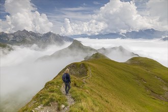 A hiker looks above the clouds at the peaks of the Alps on the Gehrengrat