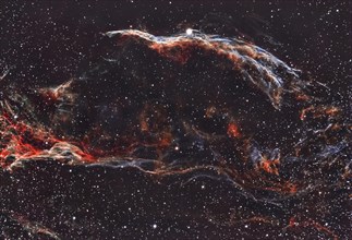 Witch's Broom Nebula in the Cirrus Nebula with bright star 52 Cygni