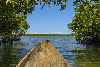 Mangroves on the island Ile Sainte-Marie although Nosy Boraha