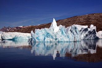 Icebergs reflected in a fjord