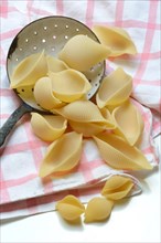 Conchiglione and small conchiglie with sieve ladle