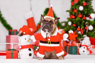 Fawn French Bulldog wearing Santa Claus dog costume next to seasonal decorations with Christmas tree