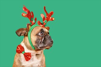 French Bulldog dog wearing Christmas reindeer antler headband and bow tie in front of green background