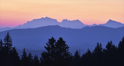 View of Saentis and Alpstein at dawn