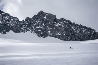Individual ski tourers on the Alpeiner Ferner