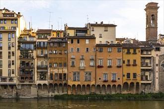 Houses in pastel-coloured facades on the banks of the Arno