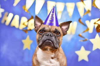 French Bulldog dog wearing New Year's Eve party celebration hat in front of blue background decorated with golden garlands