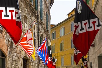 Palio Flags of Siena