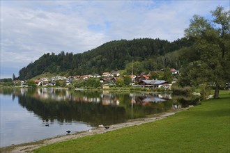Village view with Hopfensee