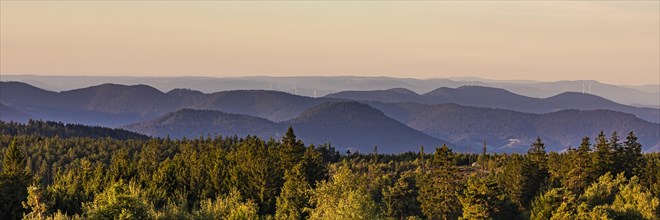 Panorama view from Schliffkopf over forest and mountains