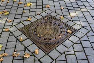 Manhole cover with autumn leaves