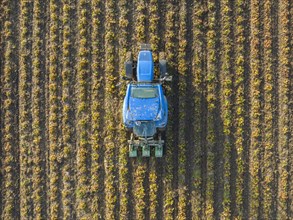 Aerial view of a tractor working in the field