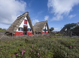 Traditional thatched houses